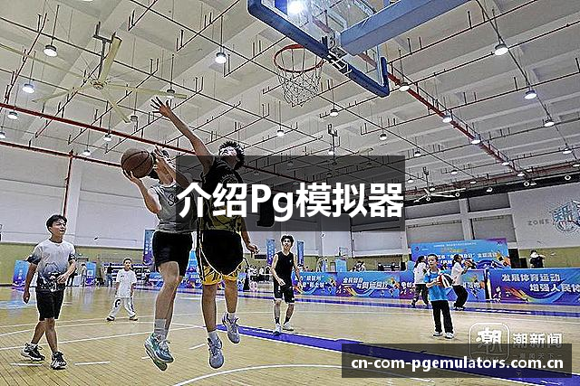 介绍Pg模拟器